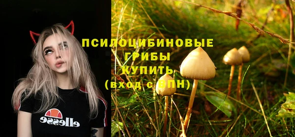 дживик Володарск